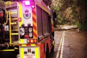 NSW-rescue-june-16